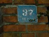Duma (23)